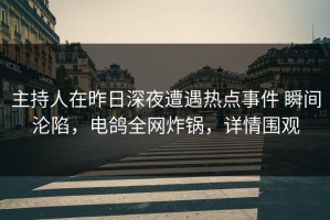 主持人在昨日深夜遭遇热点事件 瞬间沦陷，电鸽全网炸锅，详情围观