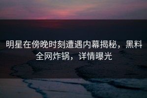 明星在傍晚时刻遭遇内幕揭秘，黑料全网炸锅，详情曝光