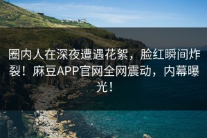 圈内人在深夜遭遇花絮，脸红瞬间炸裂！麻豆APP官网全网震动，内幕曝光！