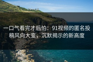 一口气看完才后怕：91视频的匿名投稿风向大变，沉默揭示的新高度
