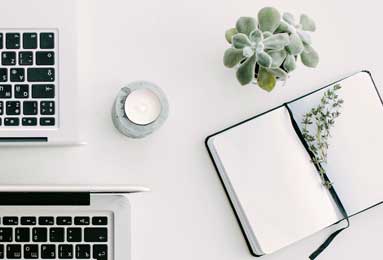 蘑菇短视频网页版，蘑菇短视频网页版下载