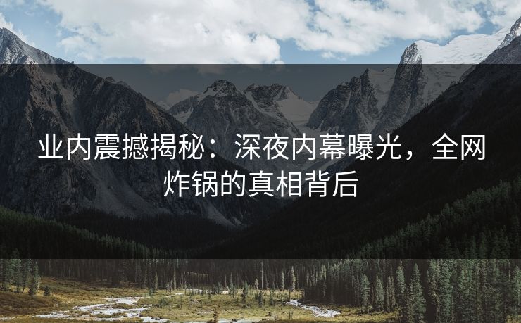 业内震撼揭秘：深夜内幕曝光，全网炸锅的真相背后
