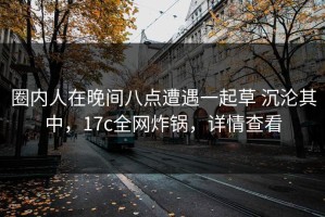 圈内人在晚间八点遭遇一起草 沉沦其中，17c全网炸锅，详情查看