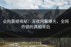 业内震撼揭秘：深夜内幕曝光，全网炸锅的真相背后