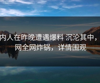 圈内人在昨晚遭遇爆料 沉沦其中，91网全网炸锅，详情围观