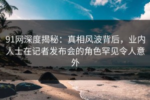 91网深度揭秘：真相风波背后，业内人士在记者发布会的角色罕见令人意外