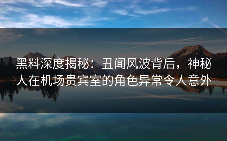 黑料深度揭秘：丑闻风波背后，神秘人在机场贵宾室的角色异常令人意外